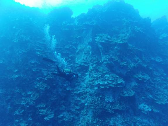 Mergulhando nas águas claríssimas da Ilha de Páscoa, em pleno Oceano Pacífico
